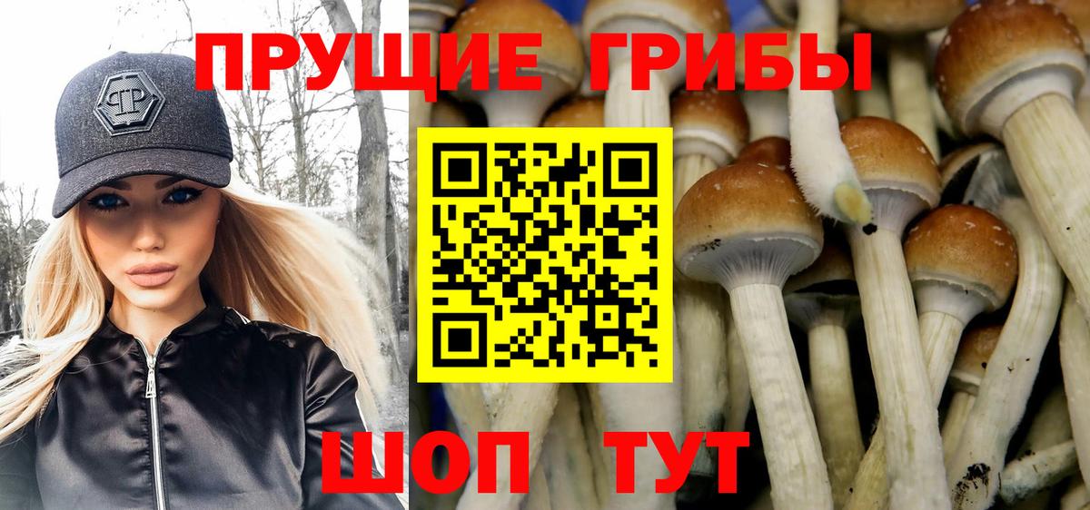 Псилоцибиновые грибы Psilocybine cubensis Ханты-Мансийск